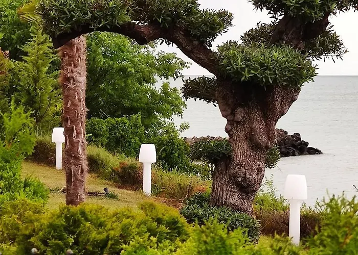 Апартамент каса реал с 2 спальнями