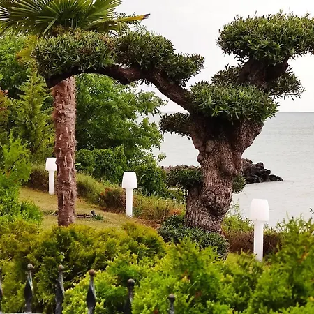 Apartmán каса реал с 2 спальнями